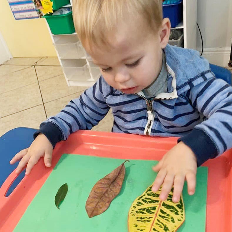 nurturing-safe-curiosity